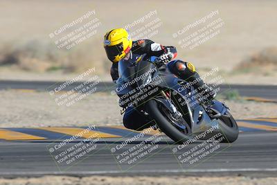 media/Feb-04-2023-SoCal Trackdays (Sat) [[8a776bf2c3]]/Turn 4 (Tree of Life 2pm)/